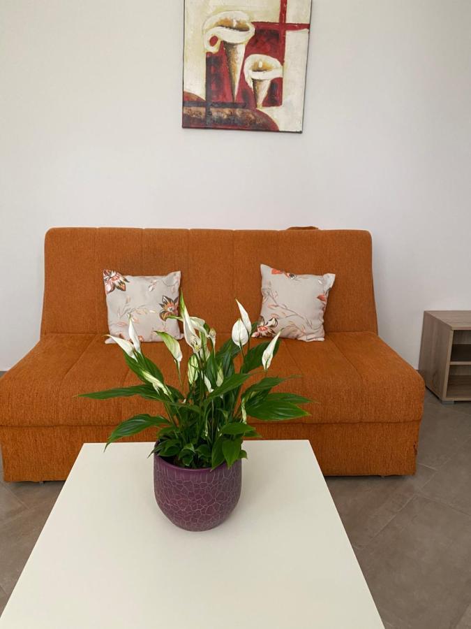 Dajkovic Apartmani 巴尔 外观 照片